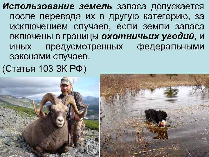 Использование земель запаса допускается после перевода их в другую категорию, за исключением случаев, если