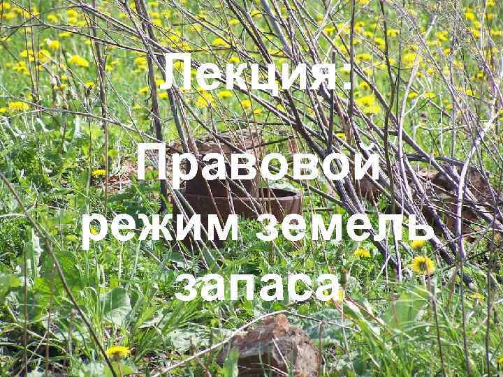 Лекция: Правовой режим земель запаса 