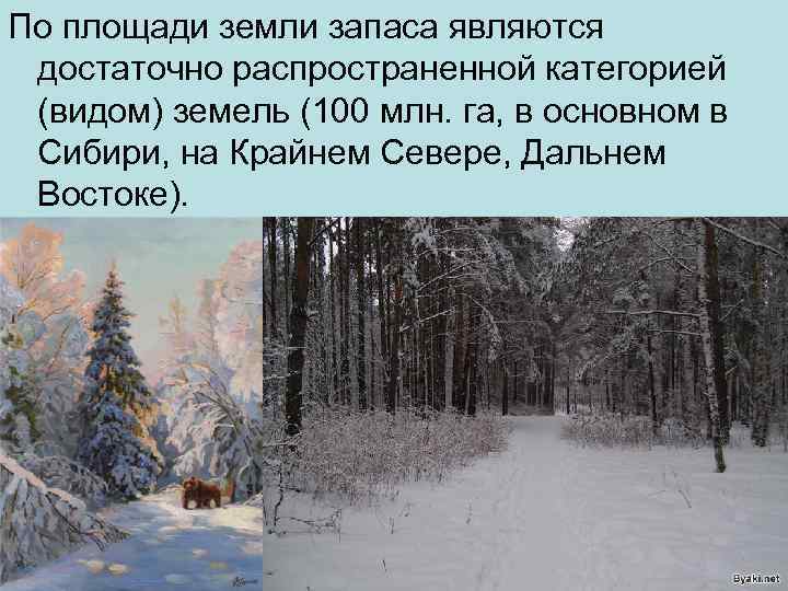 По площади земли запаса являются достаточно распространенной категорией (видом) земель (100 млн. га, в