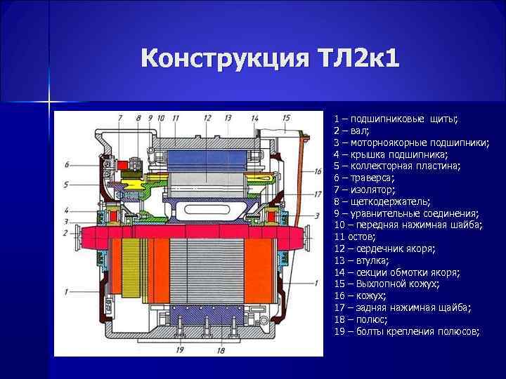 Конструкция ТЛ 2 к 1 1 – подшипниковые щиты; 2 – вал; 3 –