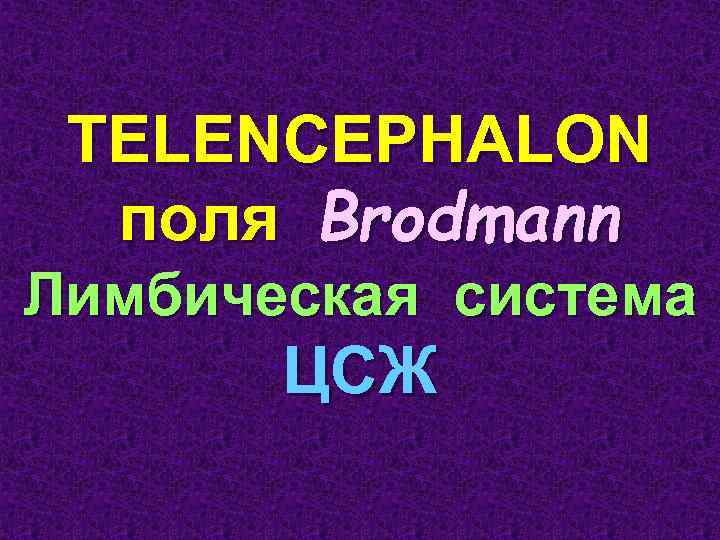 TELENCEPHALON поля Brodmann Лимбическая система ЦСЖ 