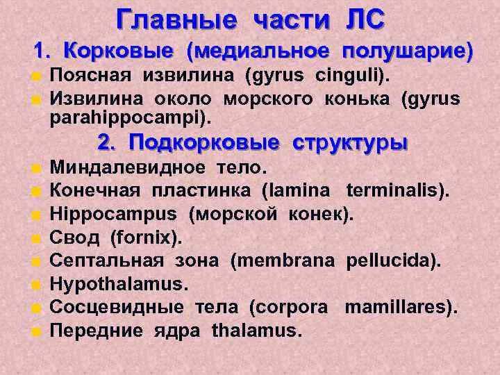 Главные части ЛС 1. Корковые (медиальное полушарие) n n Поясная извилина (gyrus cinguli). Извилина