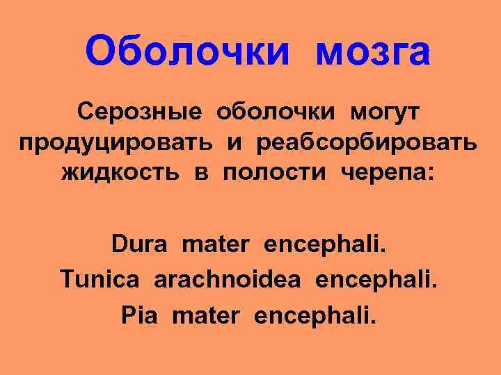 Оболочки мозга Серозные оболочки могут продуцировать и реабсорбировать жидкость в полости черепа: Dura mater