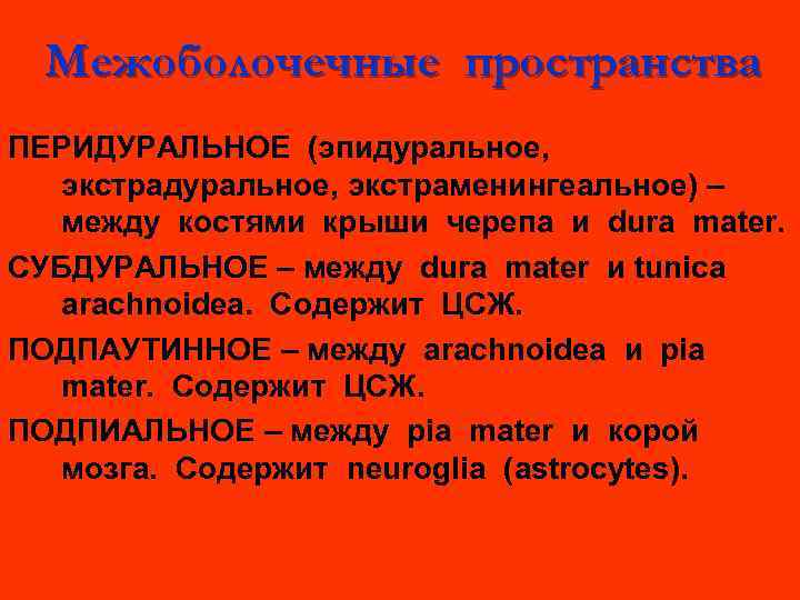 Межоболочечные пространства ПЕРИДУРАЛЬНОЕ (эпидуральное, экстраменингеальное) – между костями крыши черепа и dura mater. СУБДУРАЛЬНОЕ