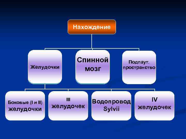 Нахождение Спинной мозг VENTRICULAR SYSTEM SPINAL CORD Желудочки Боковые (I и II) желудочки III