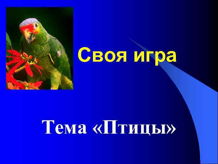 Своя игра Тема «Птицы» 