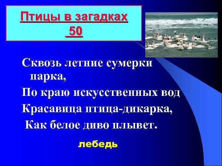 Птицы в загадках 50 Сквозь летние сумерки парка, По краю искусственных вод Красавица птица-дикарка,