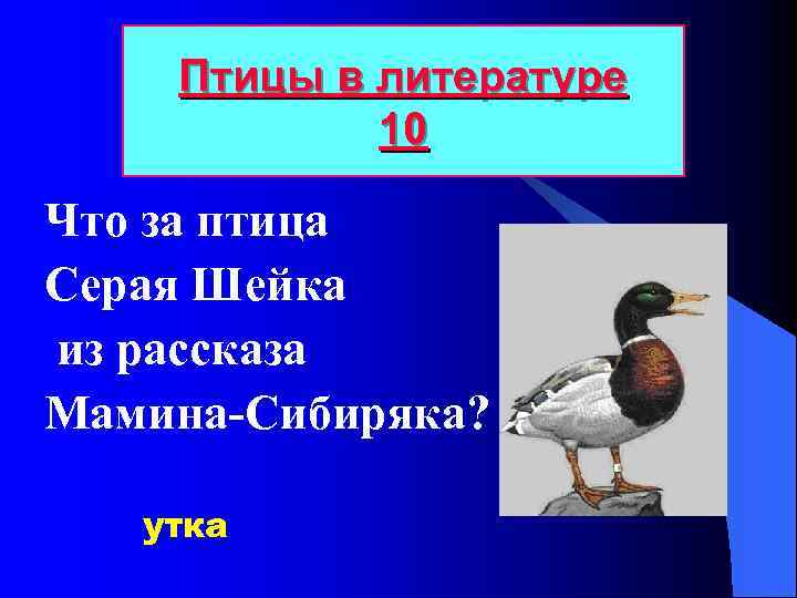 Птицы в литературе 10 Что за птица Серая Шейка из рассказа Мамина-Сибиряка? утка 