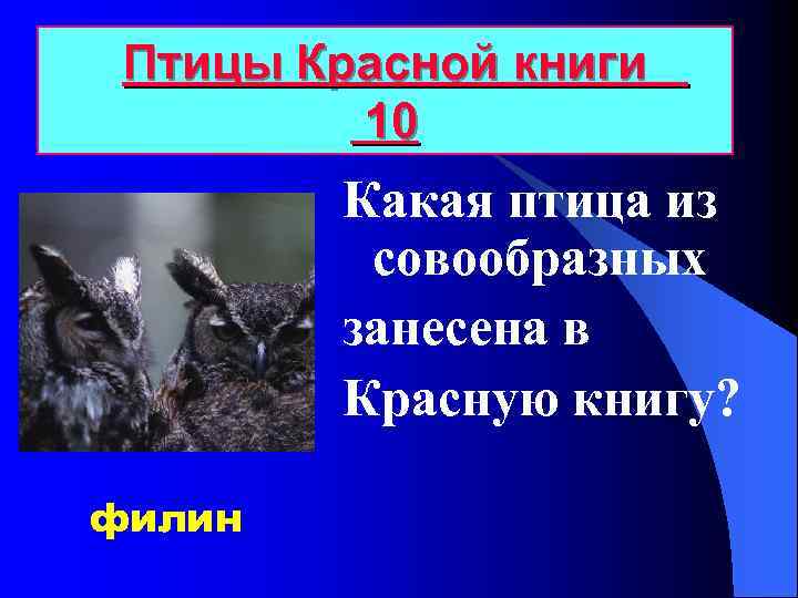 Птицы Красной книги 10 Какая птица из совообразных занесена в Красную книгу? филин 