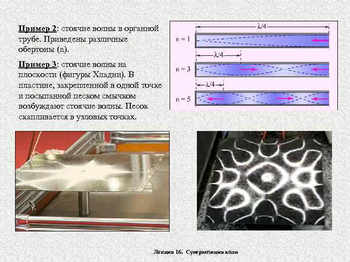Пример 2: стоячие волны в органной трубе. Приведены различные обертоны (n). Пример 3: стоячие