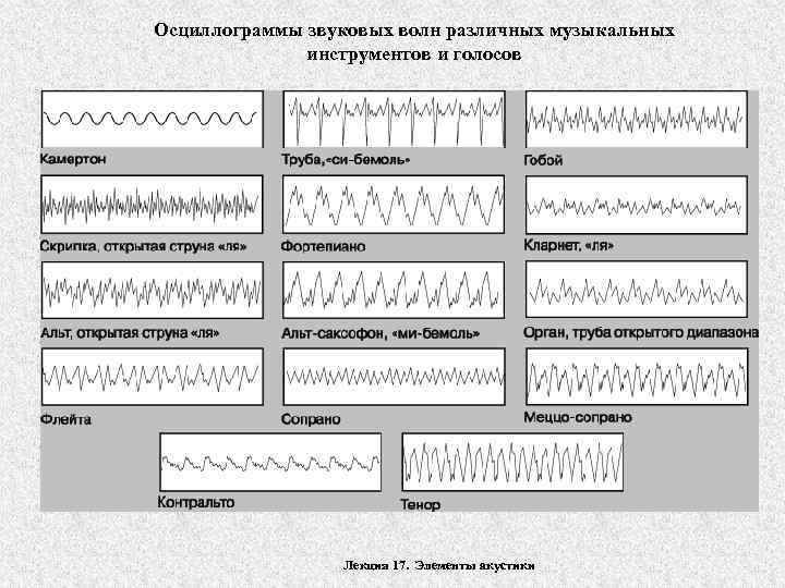 Осциллограммы звуковых волн различных музыкальных инструментов и голосов Лекция 17. Элементы акустики 