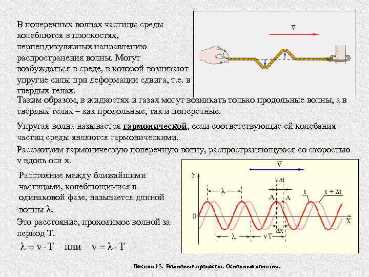 В поперечных волнах частицы среды колеблются в плоскостях, перпендикулярных направлению распространения волны. Могут возбуждаться