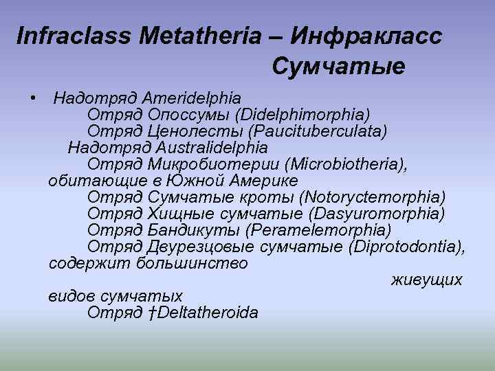 Infraclass Metatheria – Инфракласс Сумчатые • Надотряд Ameridelphia Отряд Опоссумы (Didelphimorphia) Отряд Ценолесты (Paucituberculata)