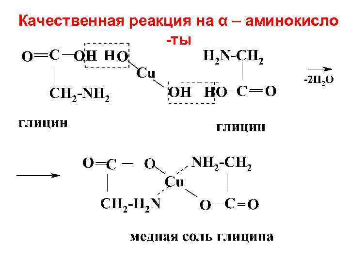 Качественная реакция на α – аминокисло -ты 