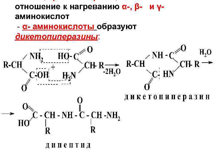 Из двух аминокислот образуется. Нагревание гамма аминокислот реакция. Нагревание бета аминокислот. Нагревание Альфа бета гамма аминокислот. Нагревание аминокислот.