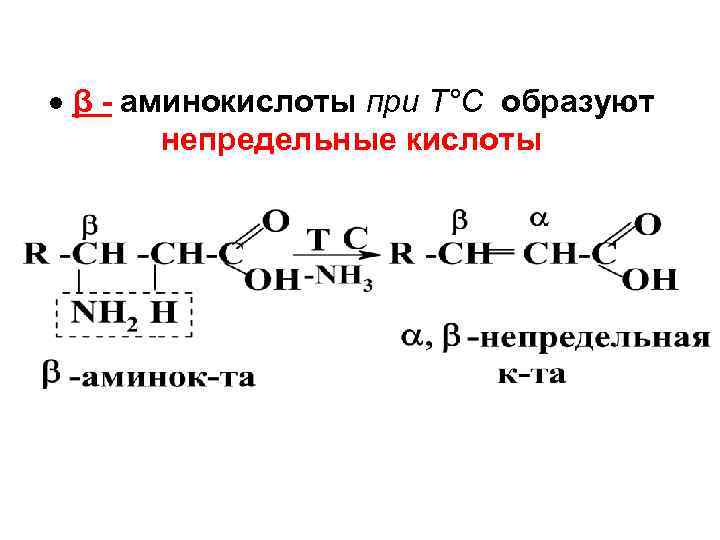  β - аминокислоты при Т°С образуют непредельные кислоты 