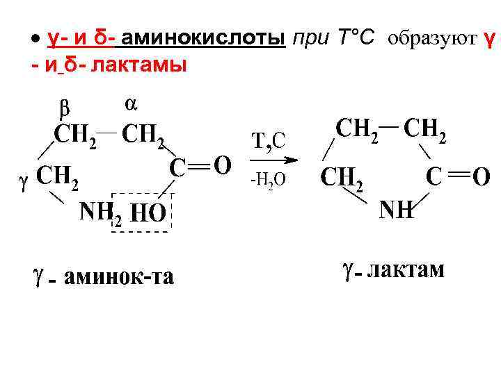 Аминокислоты образуют. Образование лактамов из гамма аминокислот. Лактам из аминомасляной кислоты. Образование лактамов. Лактам получение.