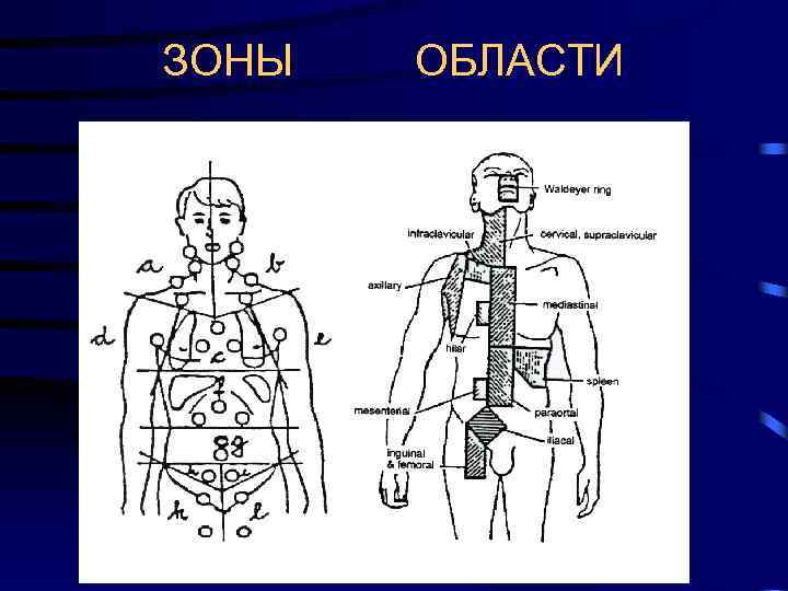 ЗОНЫ ОБЛАСТИ 