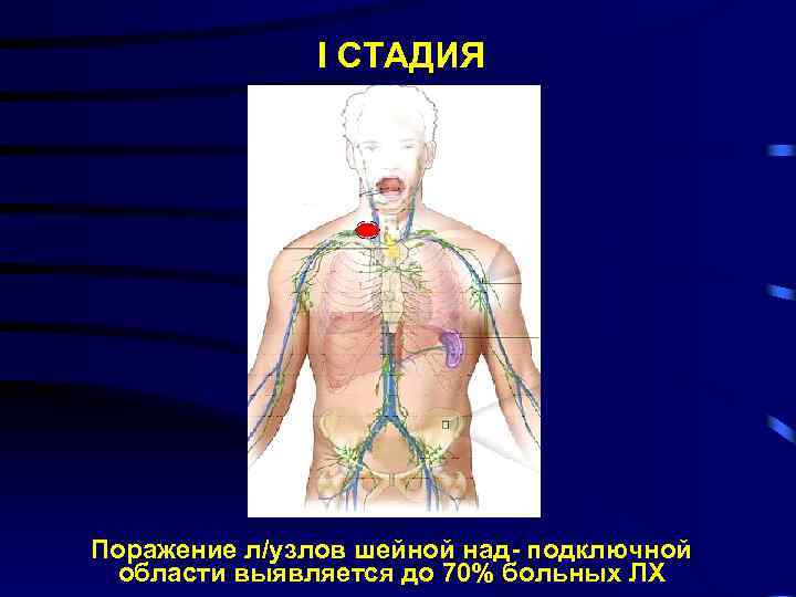 I СТАДИЯ С у б т о т а л ь н о е