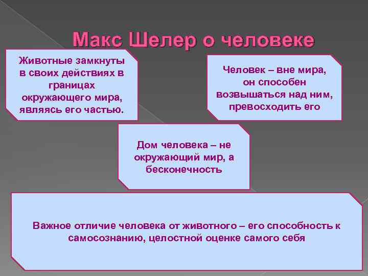 Макс Шелер о человеке Животные замкнуты в своих действиях в границах окружающего мира, являясь