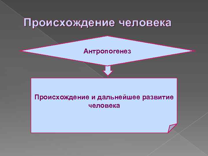 Философская антропология план