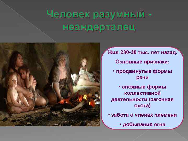 Человек разумный неандерталец Жил 230 -30 тыс. лет назад. Основные признаки: • продвинутые формы
