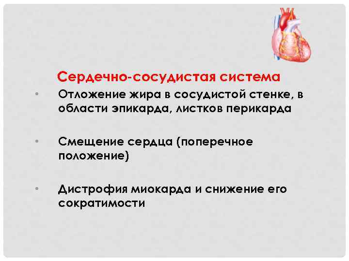 Сердечно-сосудистая система • Отложение жира в сосудистой стенке, в области эпикарда, листков перикарда •