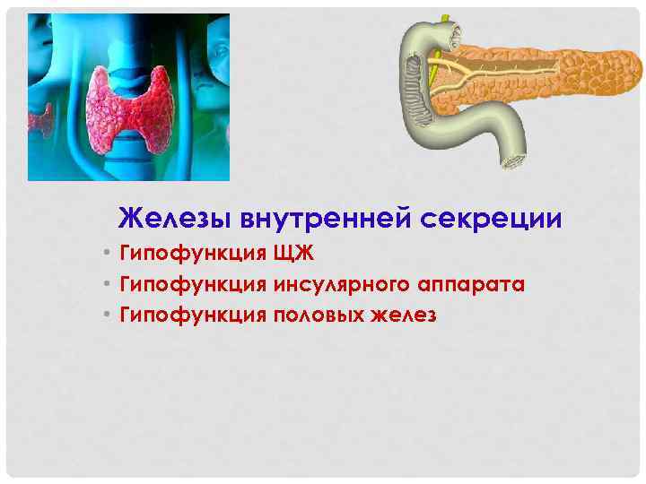 Железы внутренней секреции • Гипофункция ЩЖ • Гипофункция инсулярного аппарата • Гипофункция половых желез