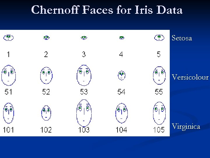 Chernoff Faces for Iris Data Setosa Versicolour Virginica 