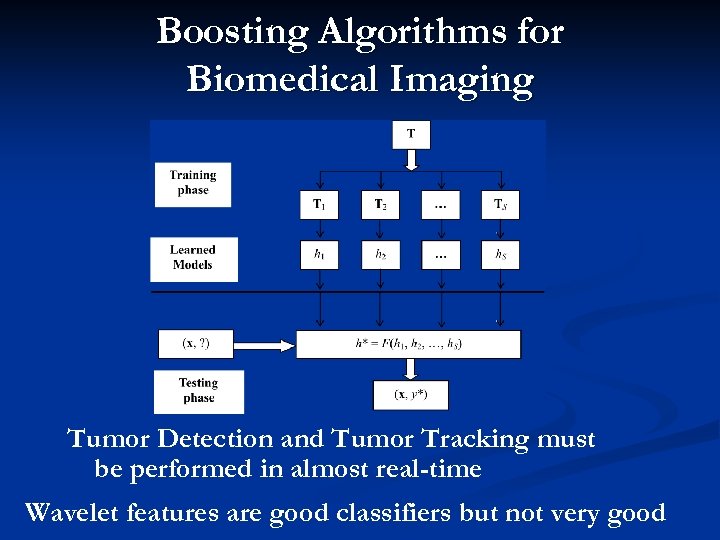 Boosting Algorithms for Biomedical Imaging Tumor Detection and Tumor Tracking must be performed in