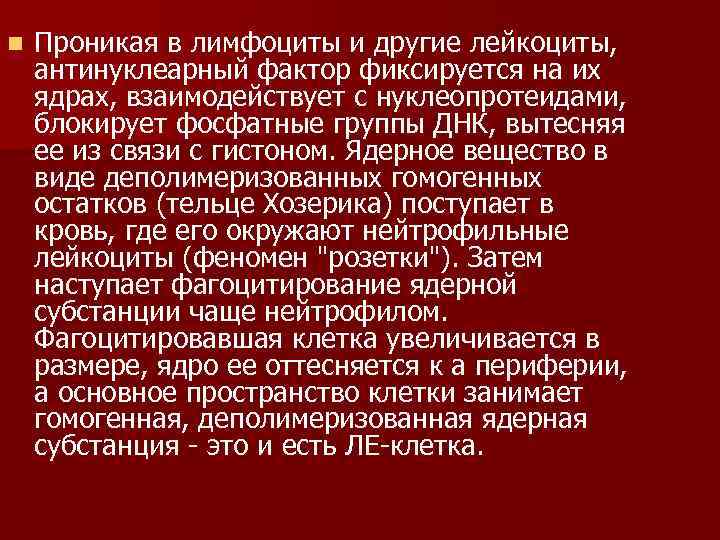 n Проникая в лимфоциты и другие лейкоциты, антинуклеарный фактор фиксируется на их ядрах, взаимодействует