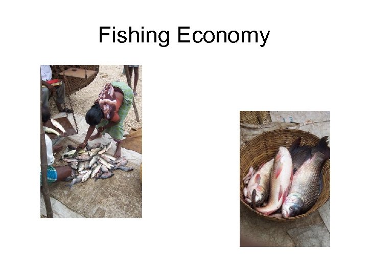 Fishing Economy 