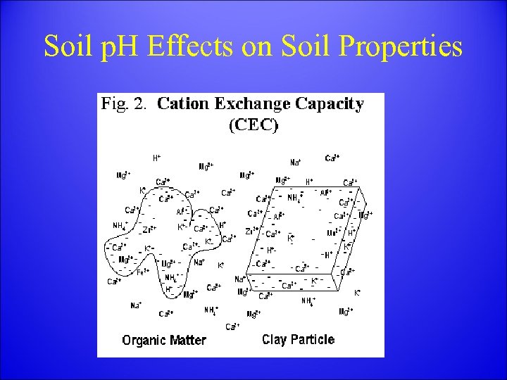 Soil p. H Effects on Soil Properties 