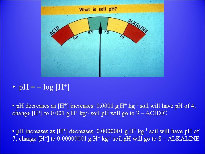  • p. H = – log [H+] • p. H decreases as [H+]