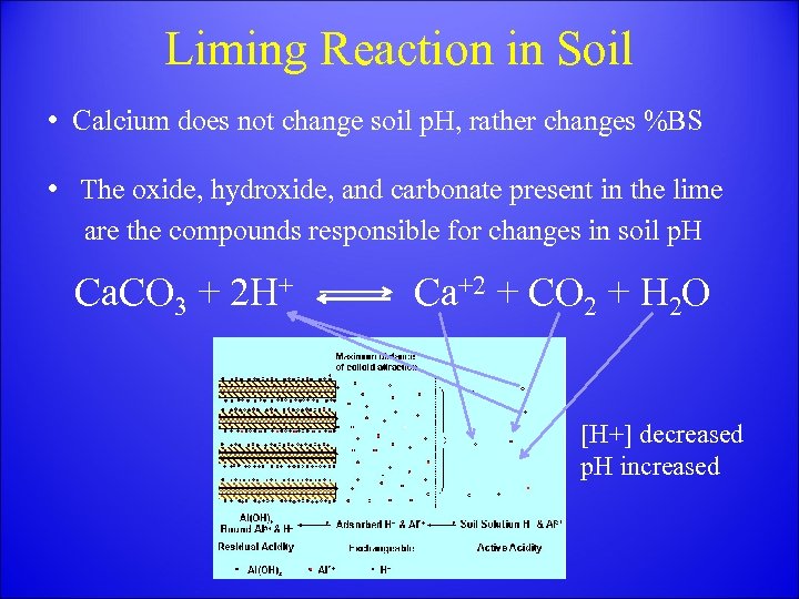 Liming Reaction in Soil • Calcium does not change soil p. H, rather changes