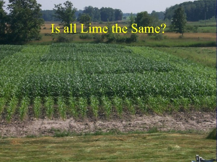 Is all Lime the Same? 