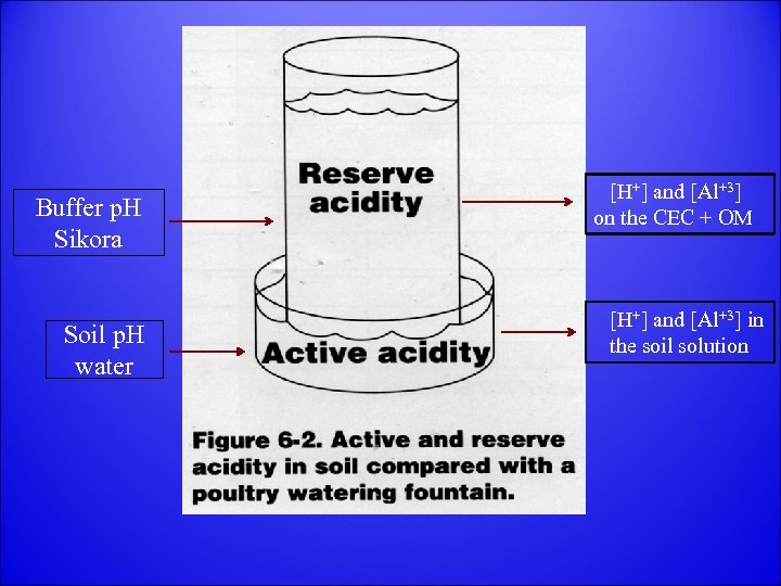 Buffer p. H Sikora Soil p. H water [H+] and [Al+3] on the CEC