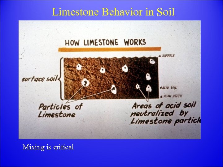 Limestone Behavior in Soil Mixing is critical 