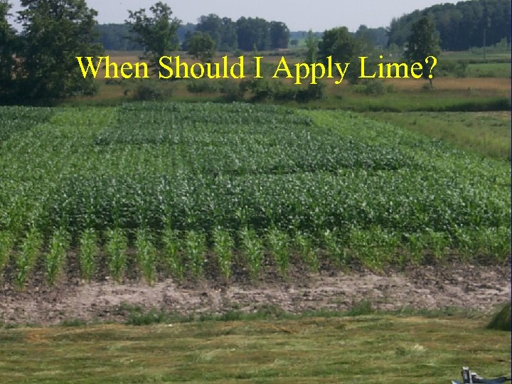 When Should I Apply Lime? 