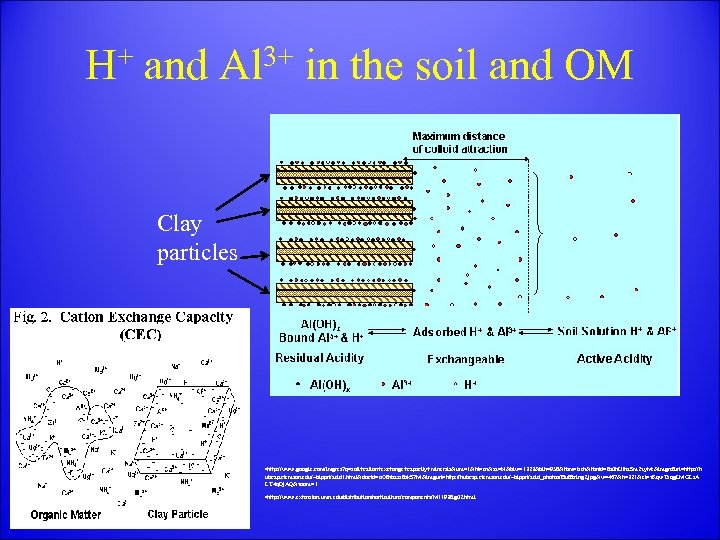 H+ and Al 3+ in the soil and OM Clay particles • http: //www.