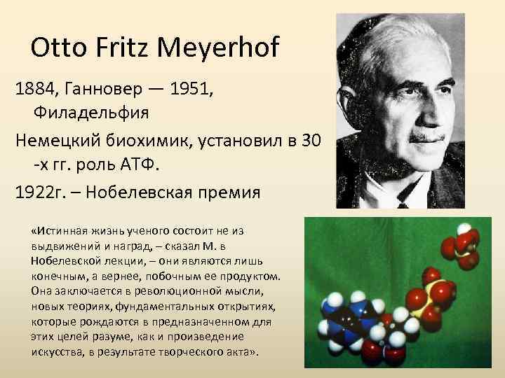 Otto Fritz Meyerhof 1884, Ганновер — 1951, Филадельфия Немецкий биохимик, установил в 30 -х