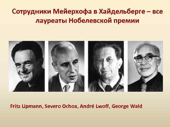 Сотрудники Мейерхофа в Хайдельберге – все лауреаты Нобелевской премии Fritz Lipmann, Severo Ochoa, André