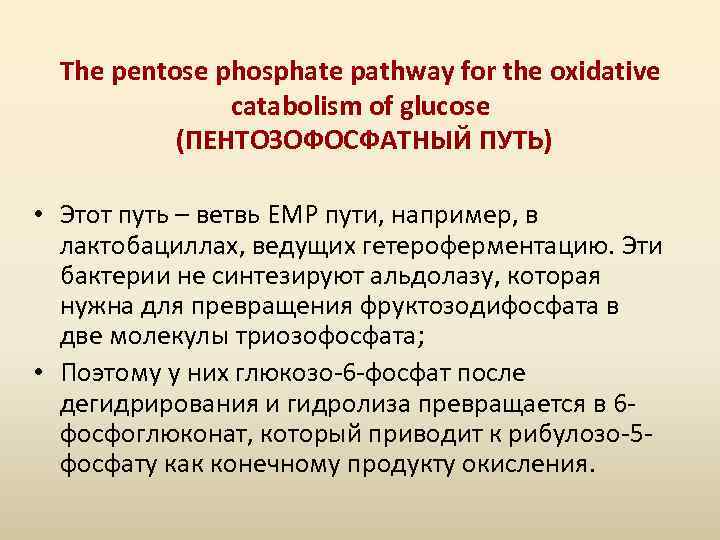 The pentose phosphate pathway for the oxidative catabolism of glucose (ПЕНТОЗОФОСФАТНЫЙ ПУТЬ) • Этот