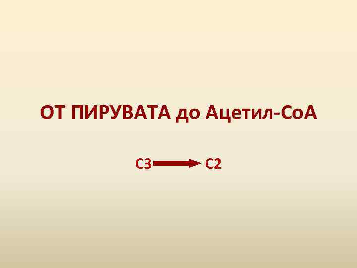 ОТ ПИРУВАТА до Ацетил-Со. А С 3 С 2 