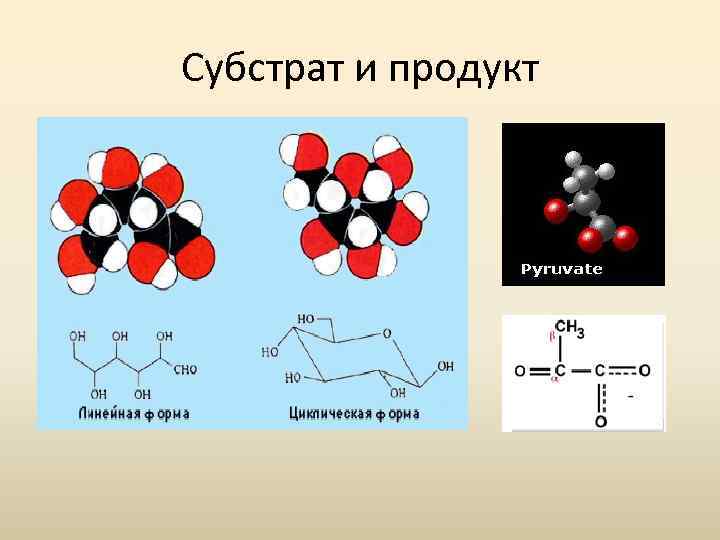 Субстрат и продукт 