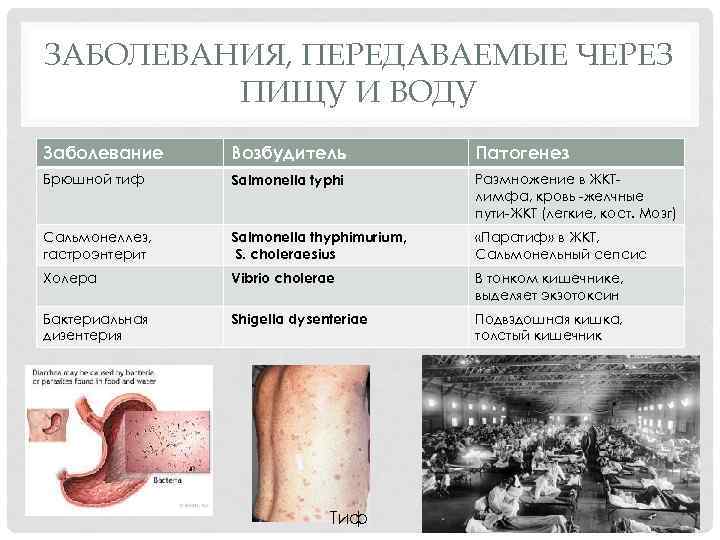 ЗАБОЛЕВАНИЯ, ПЕРЕДАВАЕМЫЕ ЧЕРЕЗ ПИЩУ И ВОДУ Заболевание Возбудитель Патогенез Брюшной тиф Salmonella typhi Размножение