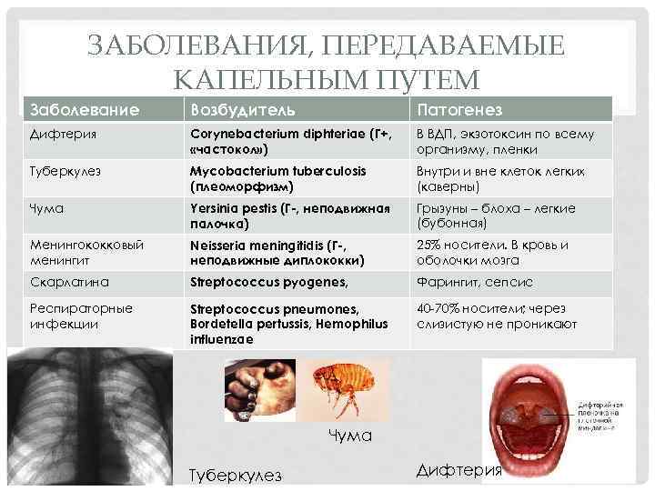 ЗАБОЛЕВАНИЯ, ПЕРЕДАВАЕМЫЕ КАПЕЛЬНЫМ ПУТЕМ Заболевание Возбудитель Патогенез Дифтерия Corynebacterium diphteriae (Г+, «частокол» ) В