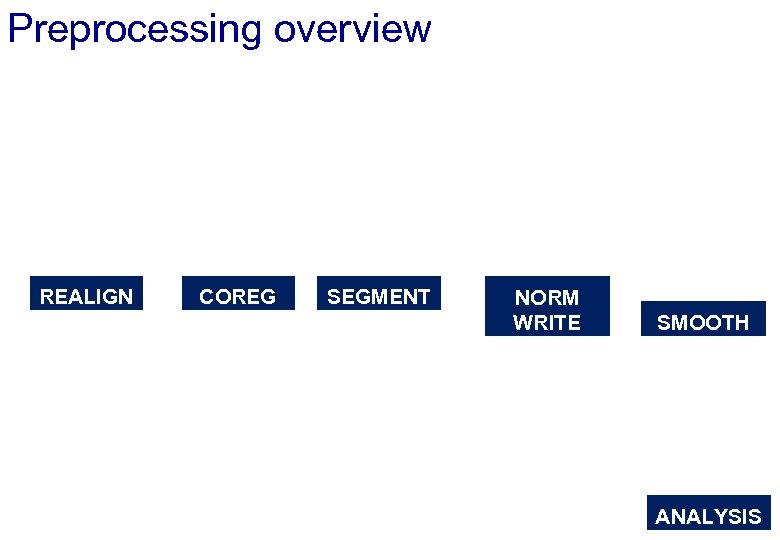 Preprocessing overview REALIGN COREG SEGMENT NORM WRITE SMOOTH ANALYSIS 