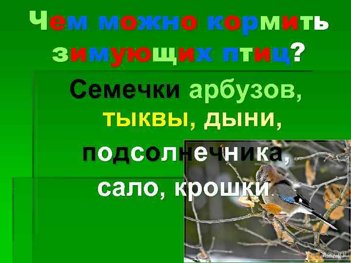 Чем можно кормить зимующих птиц? Семечки арбузов, тыквы, дыни, по д с о л