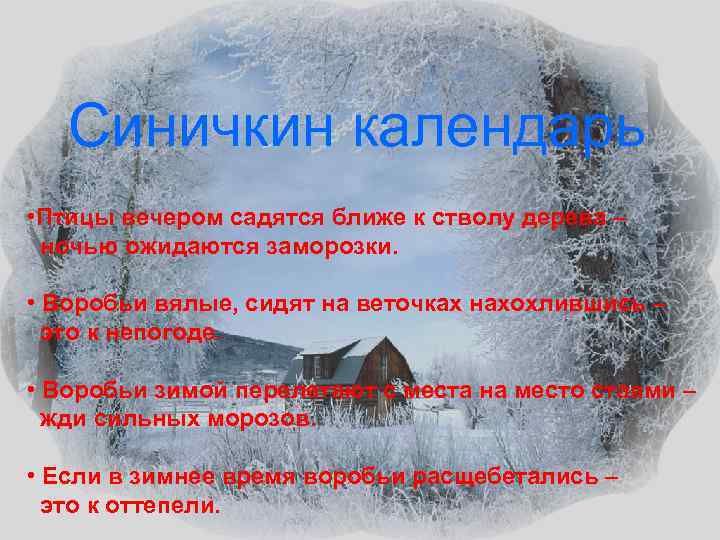 Синичкин календарь • Птицы вечером садятся ближе к стволу дерева – ночью ожидаются заморозки.